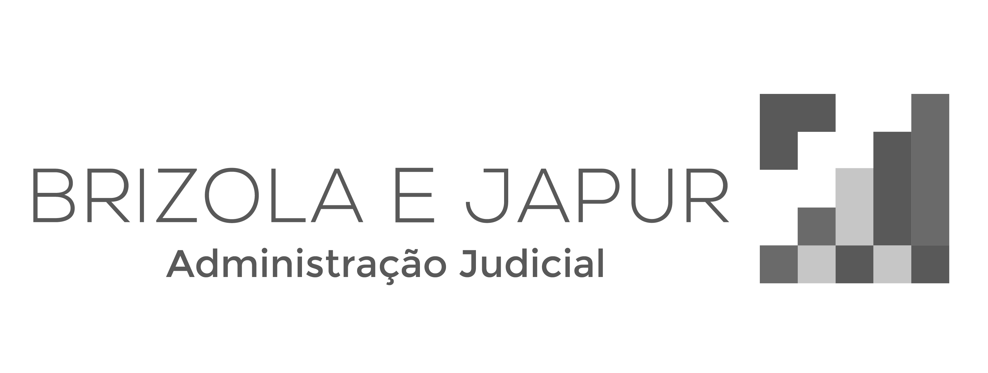 Logo do parceiro Brizola e Japur